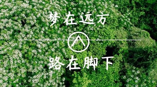 上?？婆d儀器